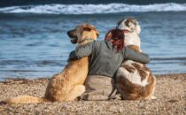 Quelles sont les plages adaptées aux chiens en France